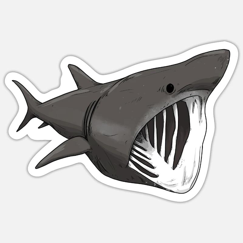 Basking shark - Sticker size S (10 x 10 cm) - white matte