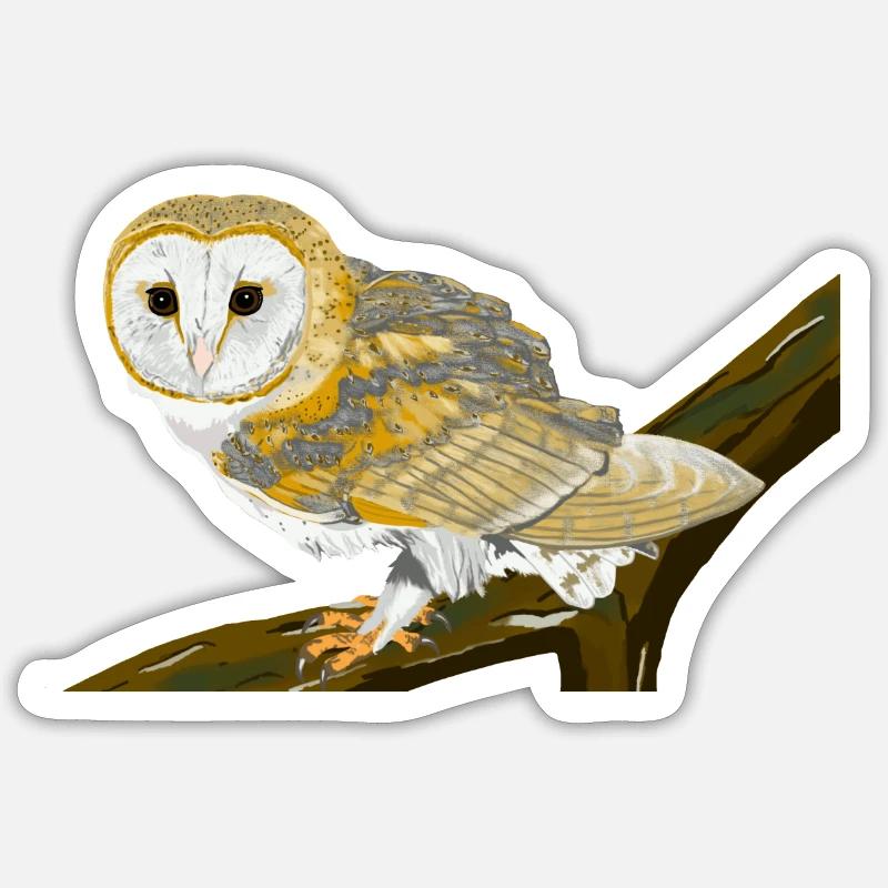 Schleiereule auf Ast sitzend Sticker Größe S (10 x 10 cm)