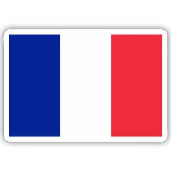 Drapeau français / French flag - Sticker taille S (10 x 10 cm) - blanc mat - Devant