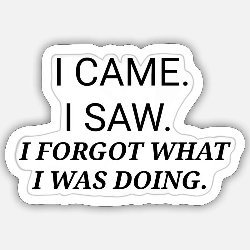 JE SUIS VENU J’AI VU QUE J’AVAIS OUBLIÉ CE QUE JE FAISAIS Sticker taille S (10 x 10 cm)