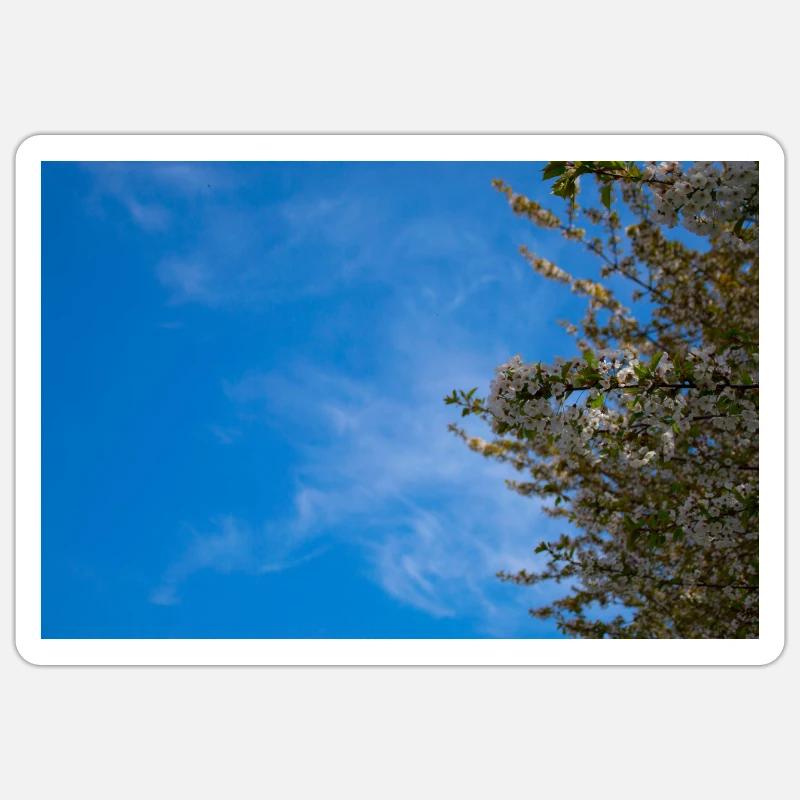 ciel fleuri Sticker taille S (10 x 10 cm)