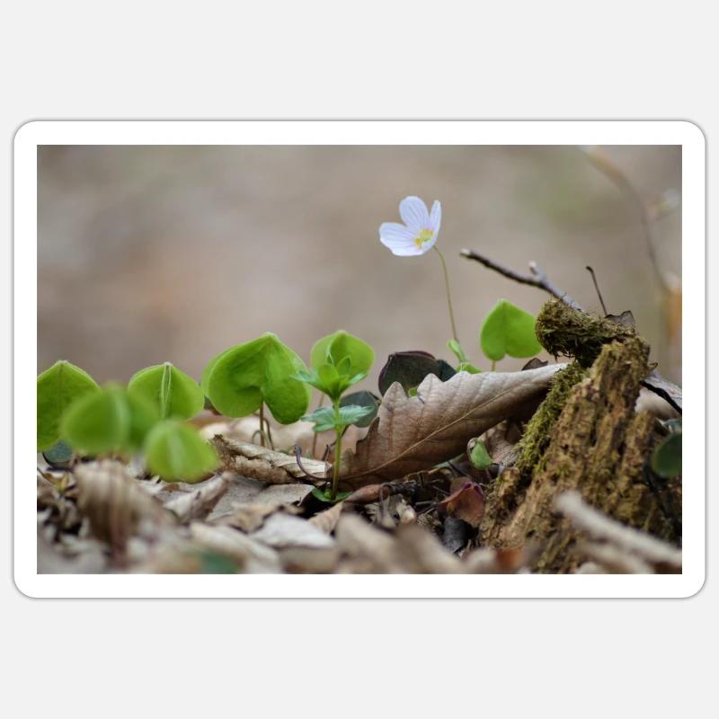 Waldblümchen - Sticker Größe S (10 x 10 cm) - Mattweiß
