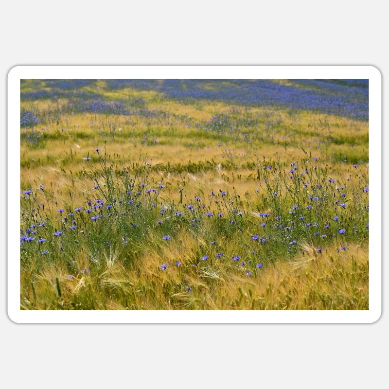 Champ de bleuets Sticker taille S (10 x 10 cm)