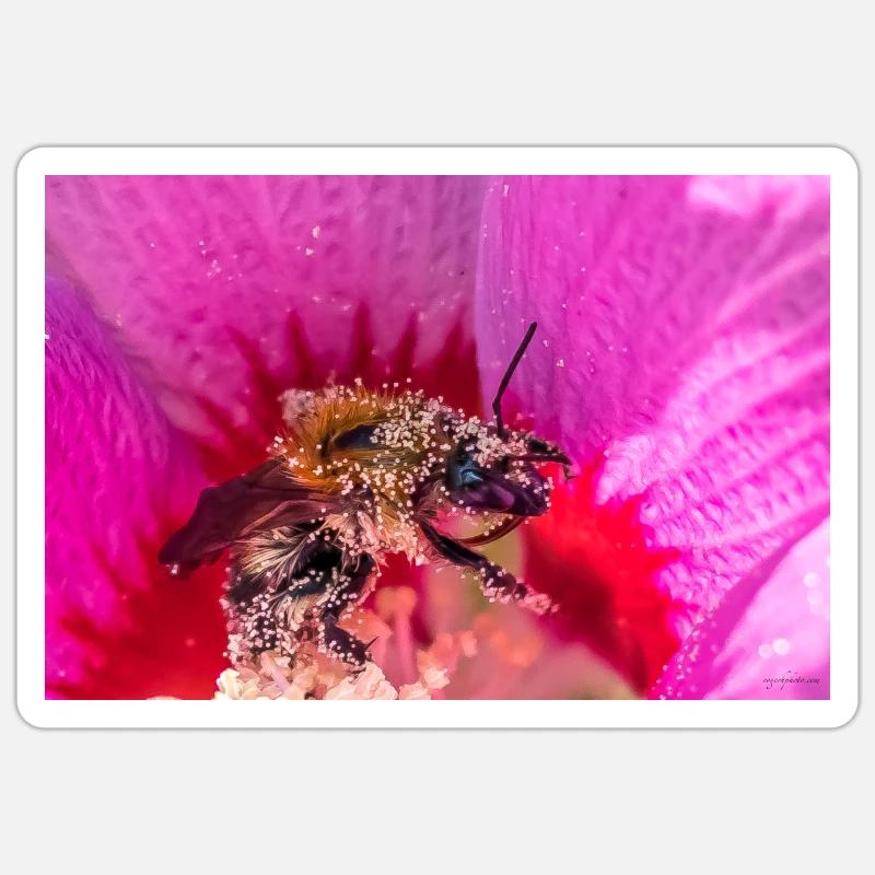 Bumblebee collecting pollen - Sticker size S (10 x 10 cm) - white matte
