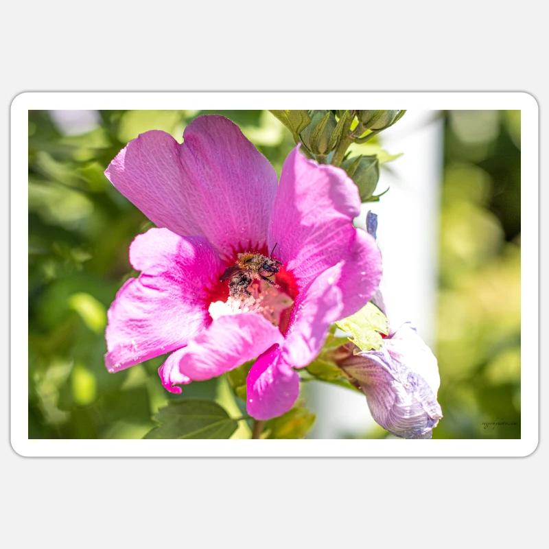 Fleur au bourdon Sticker taille S (10 x 10 cm)
