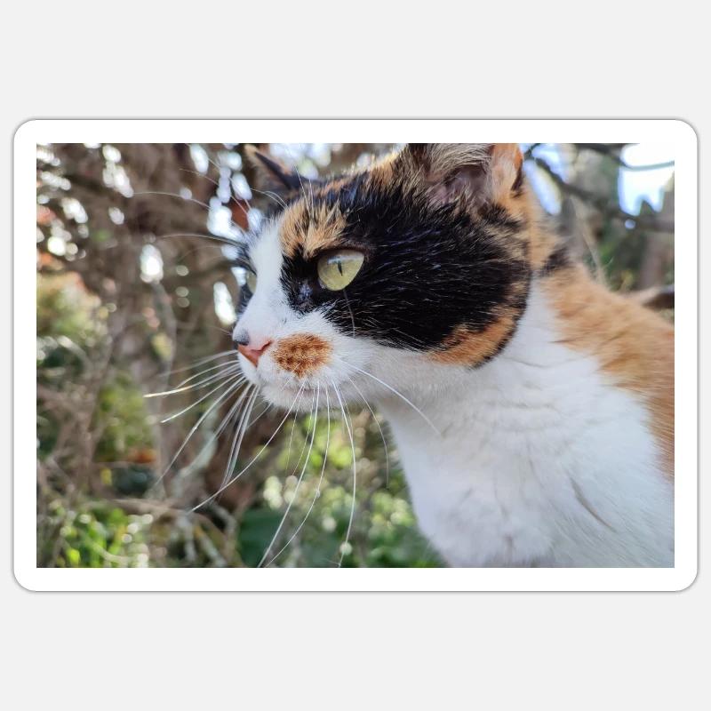 Chat - Sticker taille S (10 x 10 cm) - blanc mat