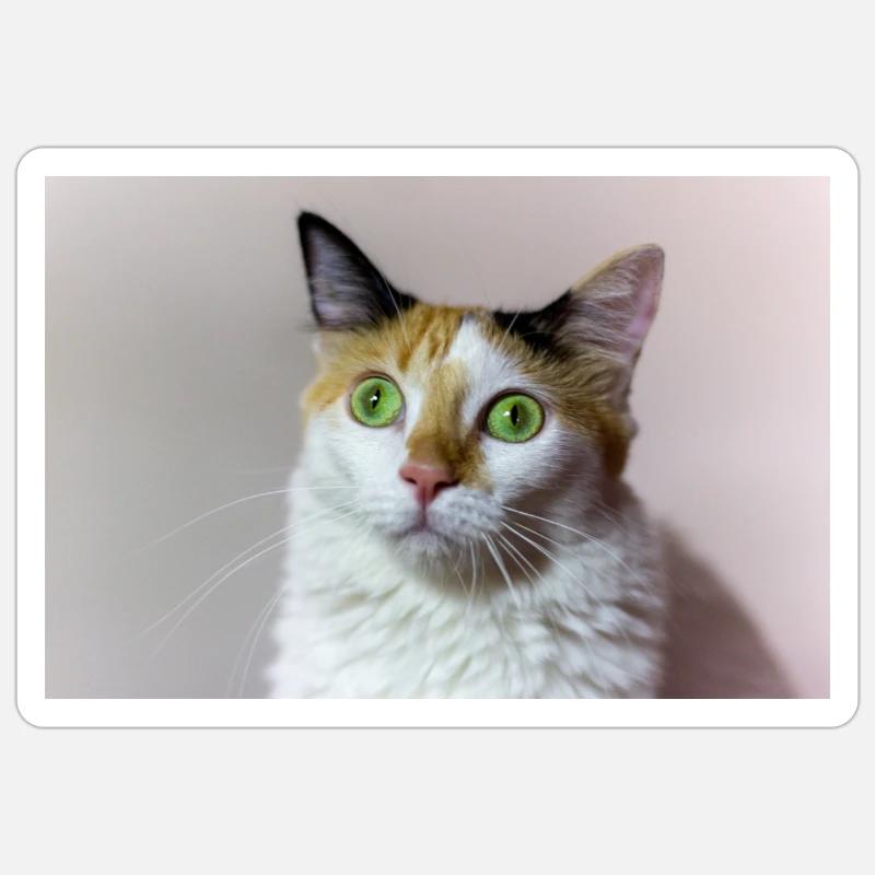 Die Katze - Sticker Größe S (10 x 10 cm) - Mattweiß