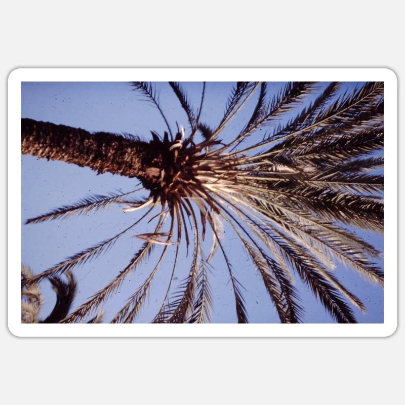 Coconut Tree - Sticker Größe S (10 x 10 cm) - Mattweiß