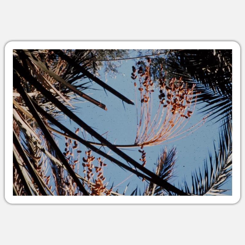 A Tree And Good Blue Sky - Sticker Größe S (10 x 10 cm) - Mattweiß