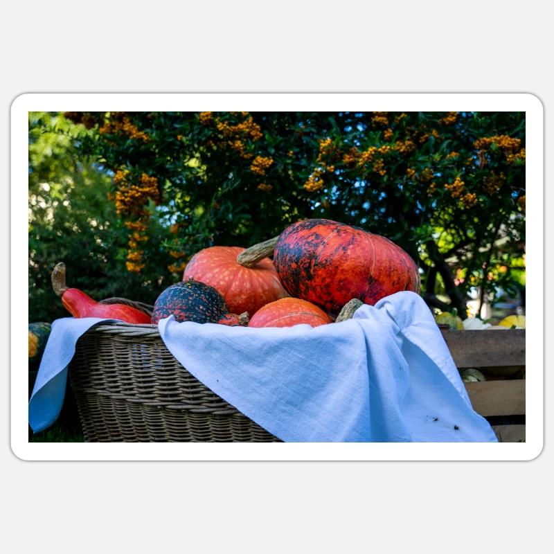 Panier de citrouille - Sticker taille S (10 x 10 cm) - blanc mat