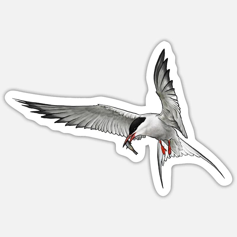Tern in flight - Sticker size S (10 x 10 cm) - white matte