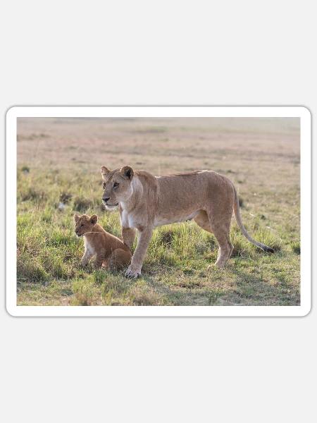 Löwenmama mit Nachwuchs - Sticker Größe S (10 x 10 cm) - Mattweiß