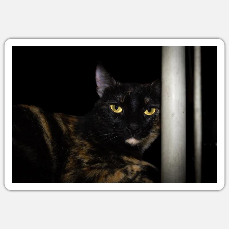 le chat noir - Sticker taille S (10 x 10 cm) - blanc mat