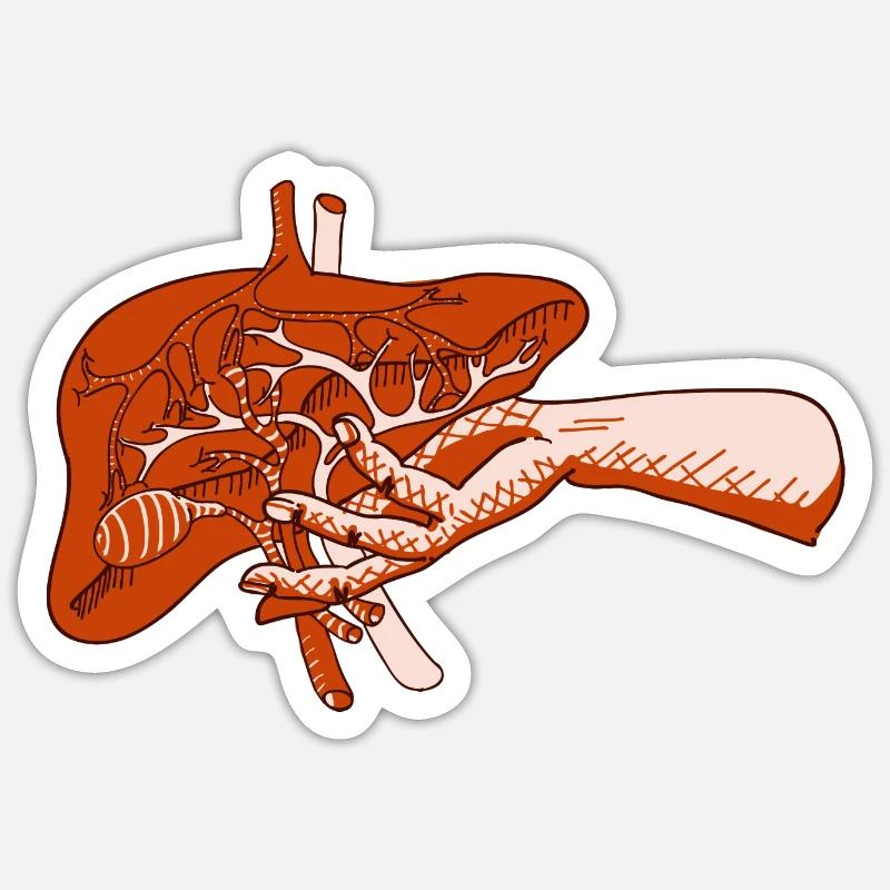 Die Leber 2 Sticker Größe S (10 x 10 cm)