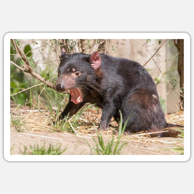 Tasmanian Devil (in german Beutelteufel) Sticker size S (10 x 10 cm)