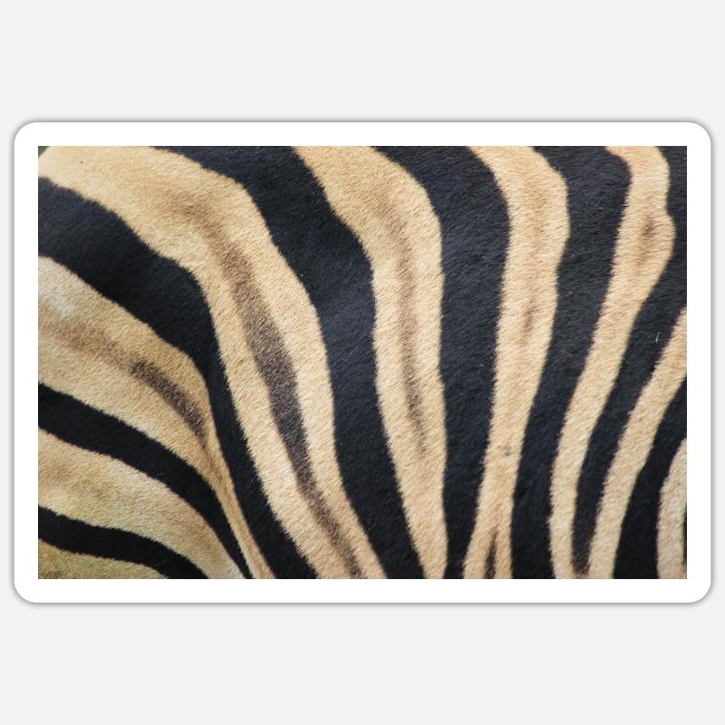 Zebra (auf Deutsch Zebra oder Zebras) Hippotigris Sticker Größe S (10 x 10 cm)