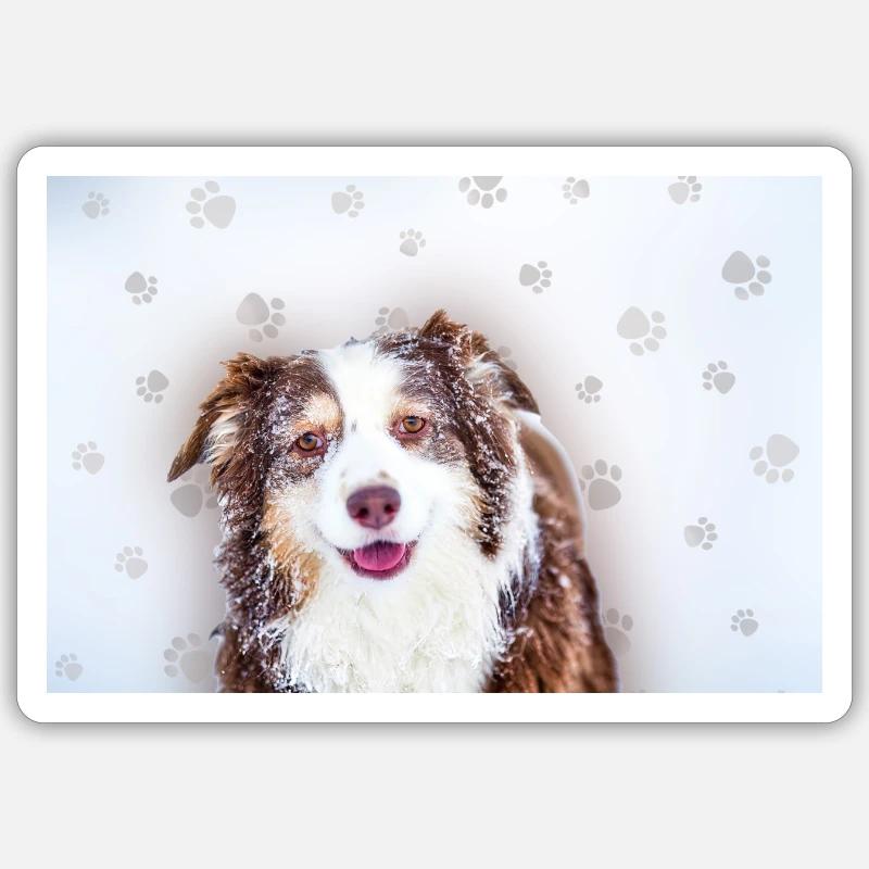 Aussie Pfoten Sticker Größe S (10 x 10 cm)