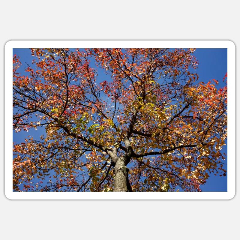 Maple Sticker size S (10 x 10 cm)