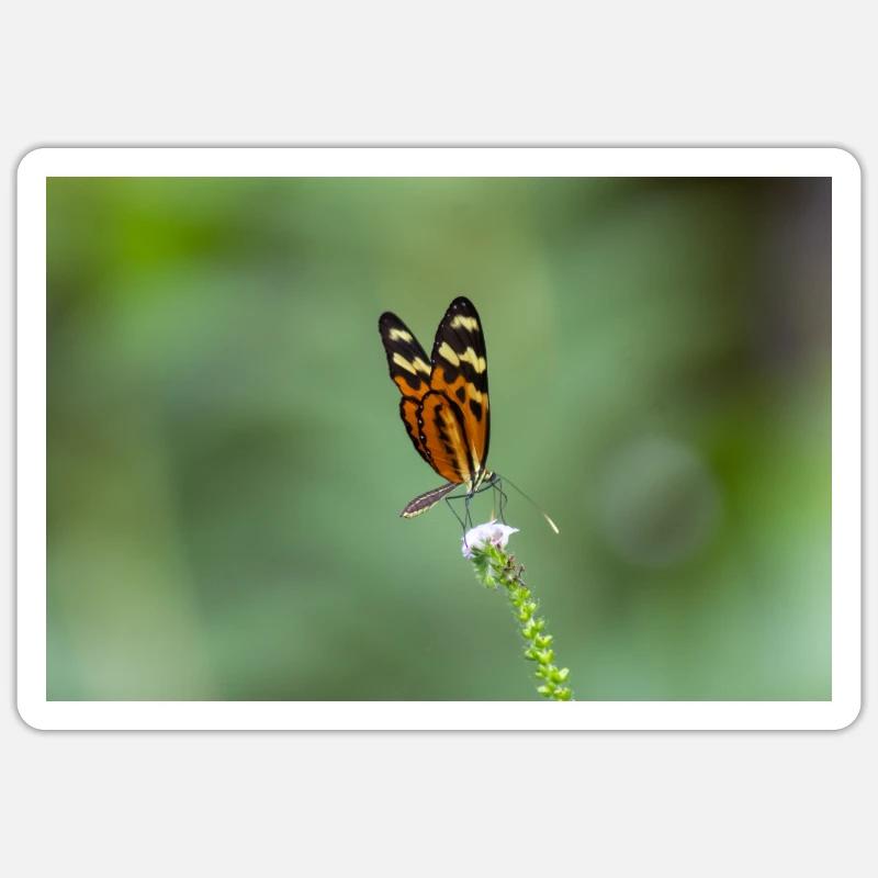 papillon - Sticker taille S (10 x 10 cm) - blanc mat