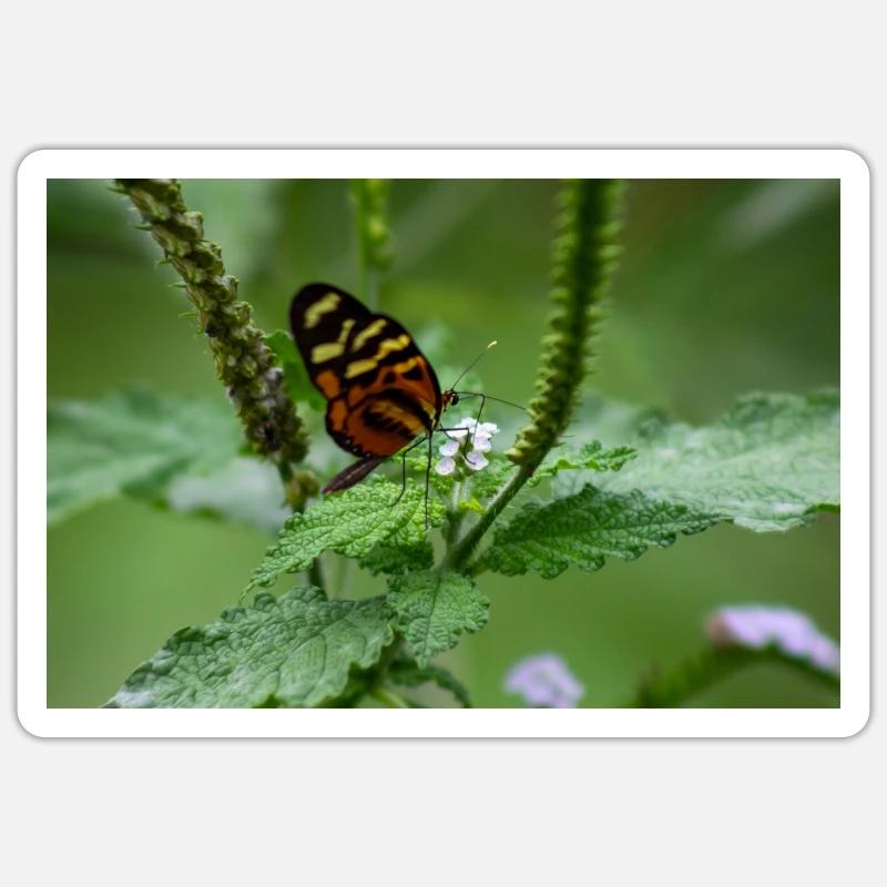 papillon - Sticker taille S (10 x 10 cm) - blanc mat