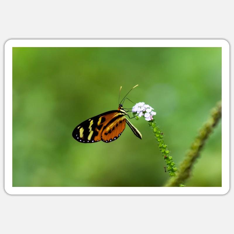 papillon - Sticker taille S (10 x 10 cm) - blanc mat