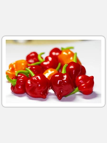 Habanero 2 - Sticker Größe S (10 x 10 cm) - Mattweiß