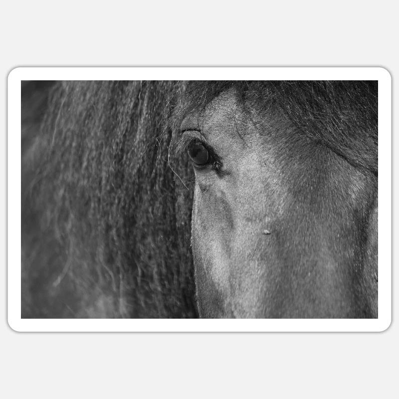 Oeil de cheval - Sticker taille S (10 x 10 cm) - blanc mat