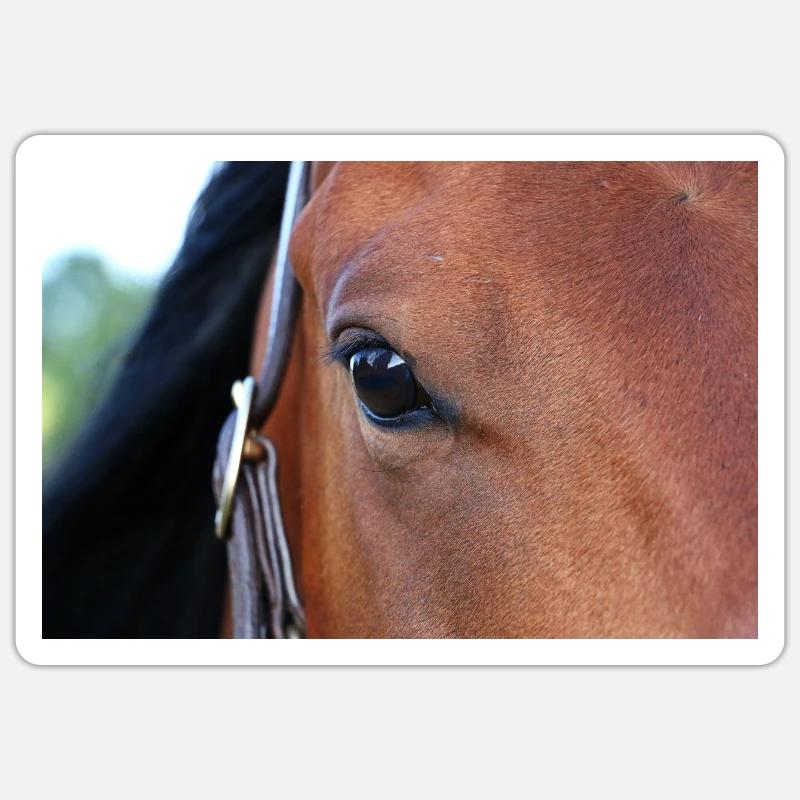 Oeil de cheval - Sticker taille S (10 x 10 cm) - blanc mat