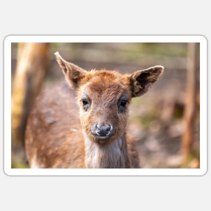Fallow Deer (in german Damwild or Damhirsch) Dama Sticker size S (10 x 10 cm)