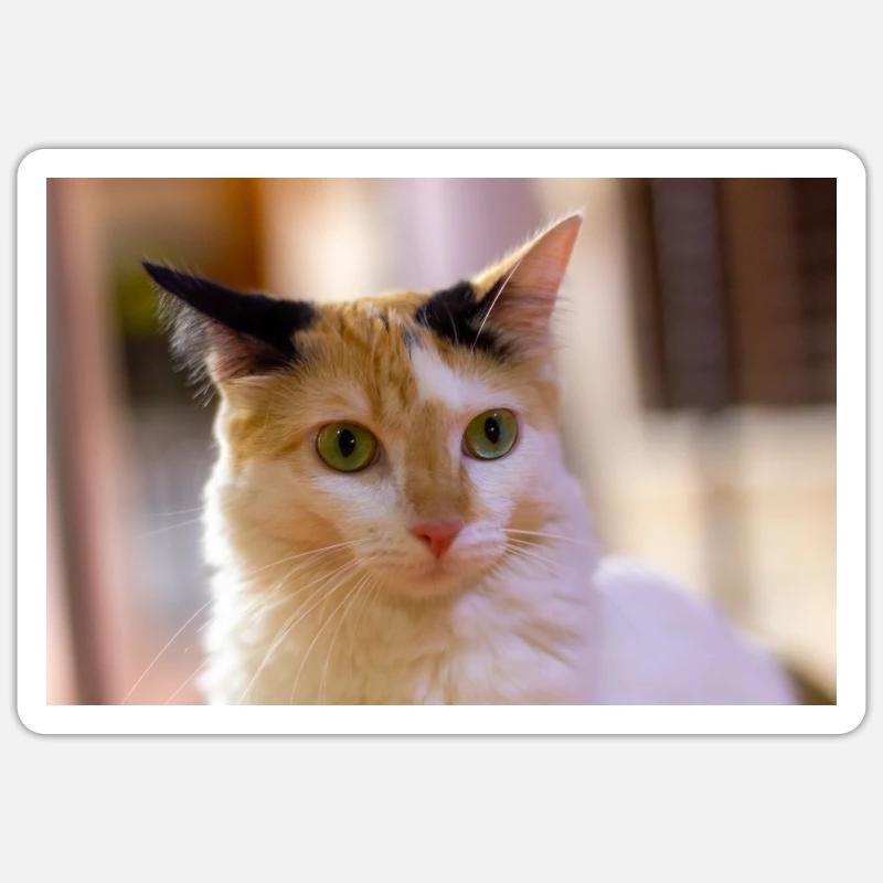 Katze - Sticker Größe S (10 x 10 cm) - Mattweiß