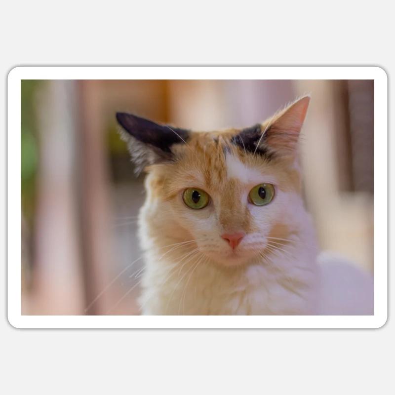 The cat - Sticker size S (10 x 10 cm) - white matte