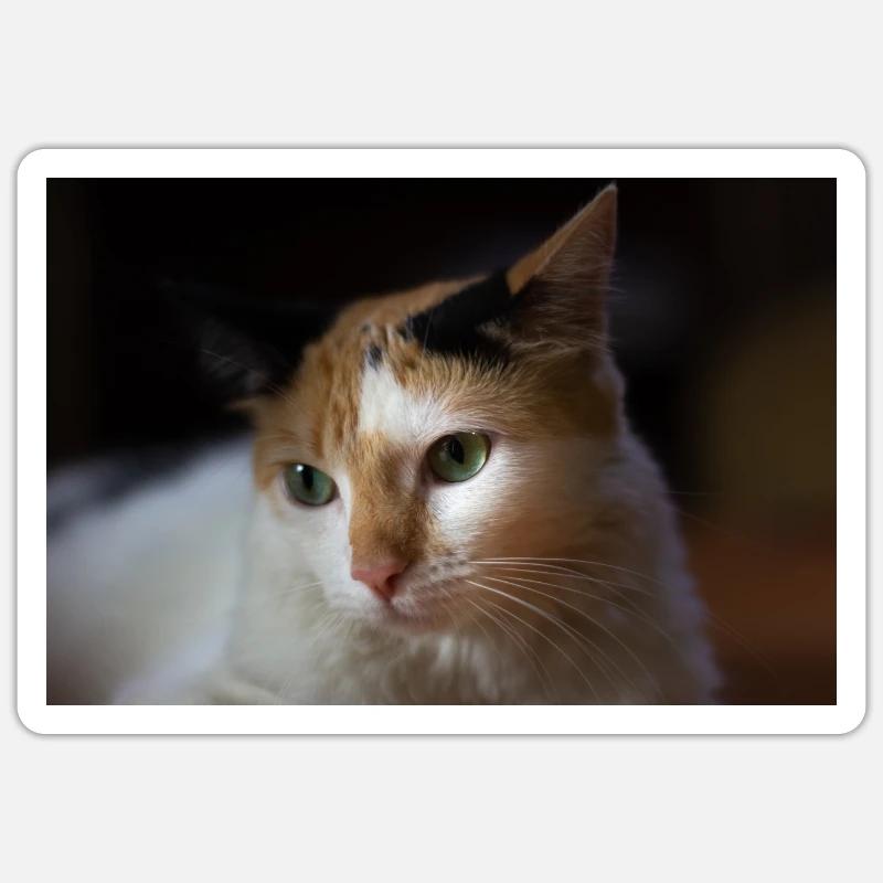 Die Katze - Sticker Größe S (10 x 10 cm) - Mattweiß