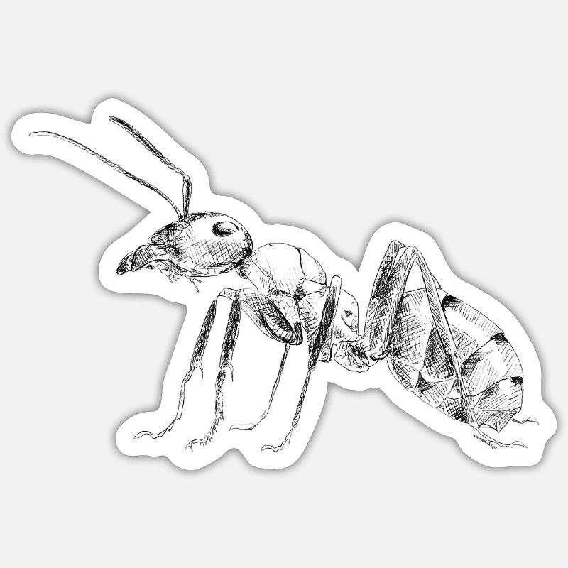 Fourmi - Sticker taille S (10 x 10 cm) - blanc mat