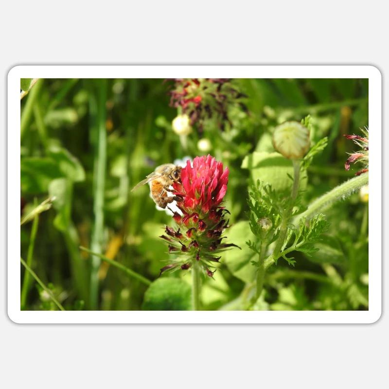 Bee Pollinated Life - Sticker size S (10 x 10 cm) - white matte