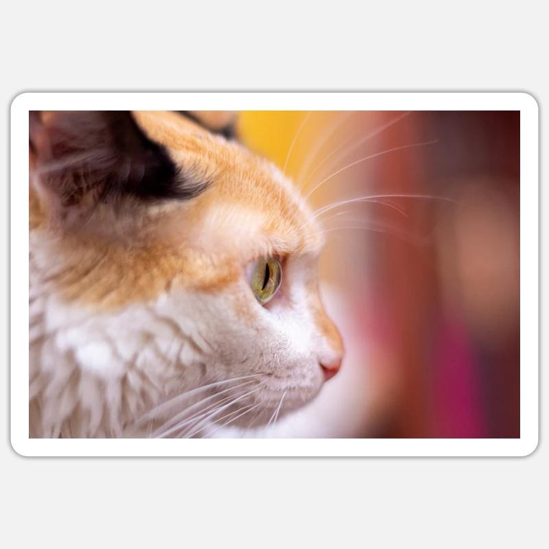 Cat's look - Sticker size S (10 x 10 cm) - white matte