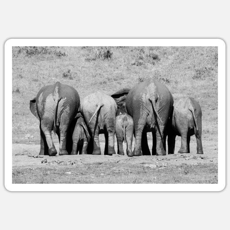 Cuddling Elephants - Sticker Größe S (10 x 10 cm) - Mattweiß