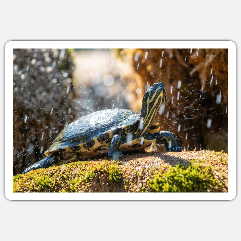 Trachemys scripta scripta scripta - Sticker taille S (10 x 10 cm) - blanc mat