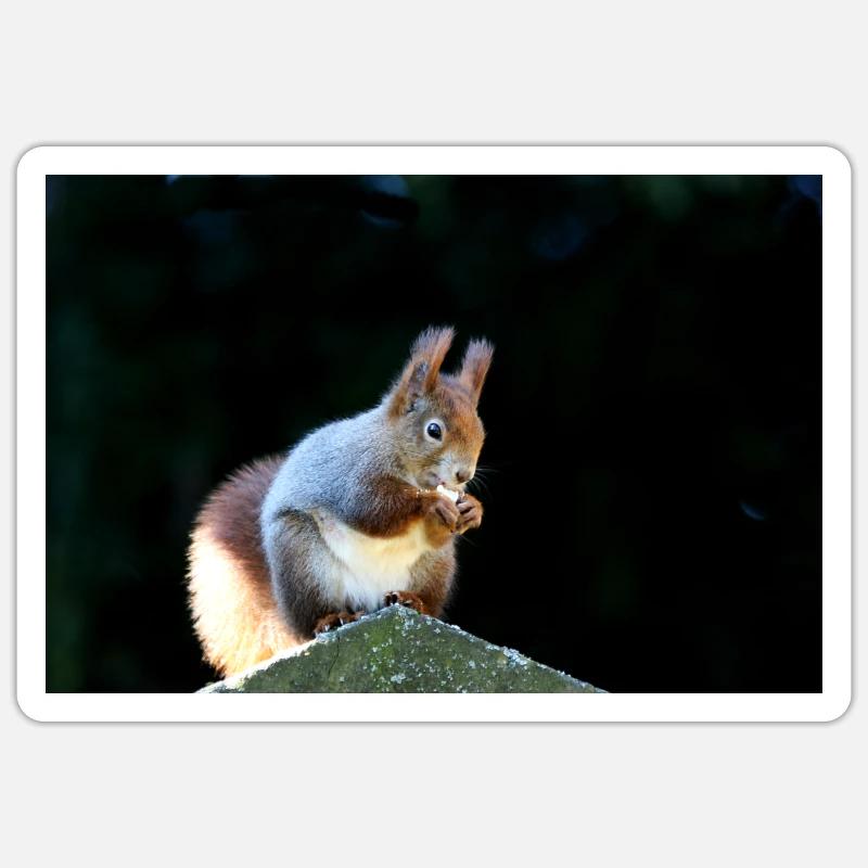 Eichhörnchen, Isibat - Sticker Größe S (10 x 10 cm) - Mattweiß