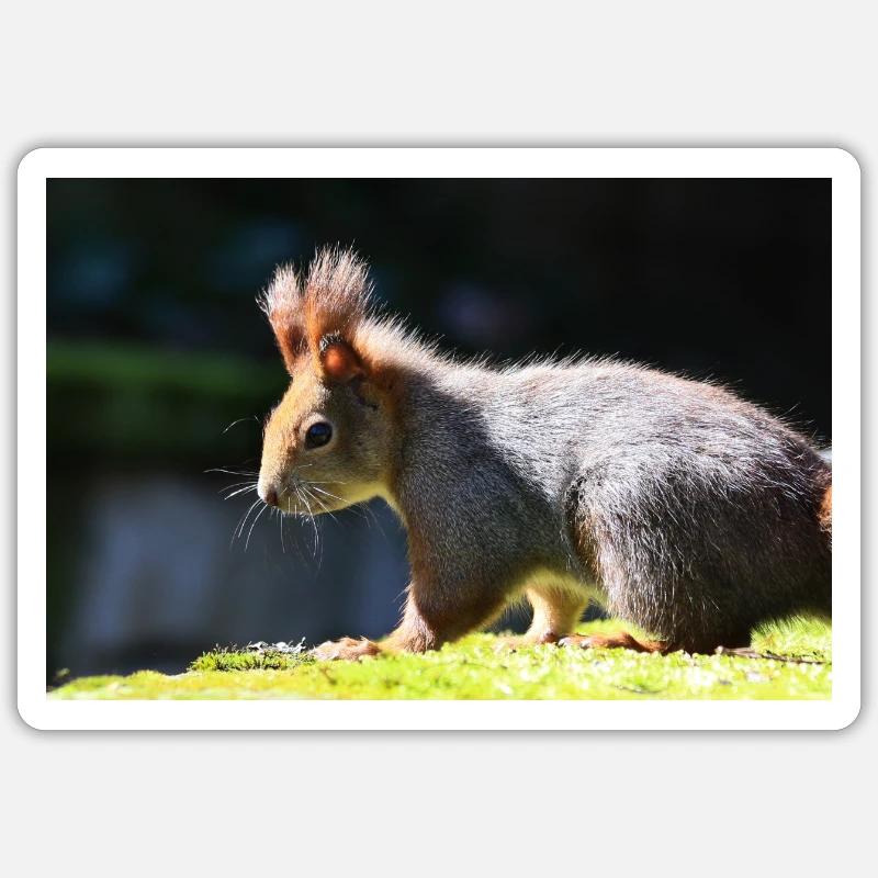 Eichhörnchen, Isibat Sticker Größe S (10 x 10 cm)