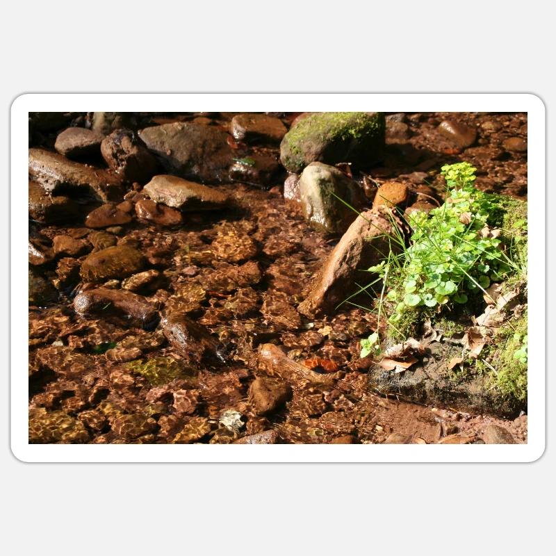 Black Forest Forest Stream Sticker size S (10 x 10 cm)