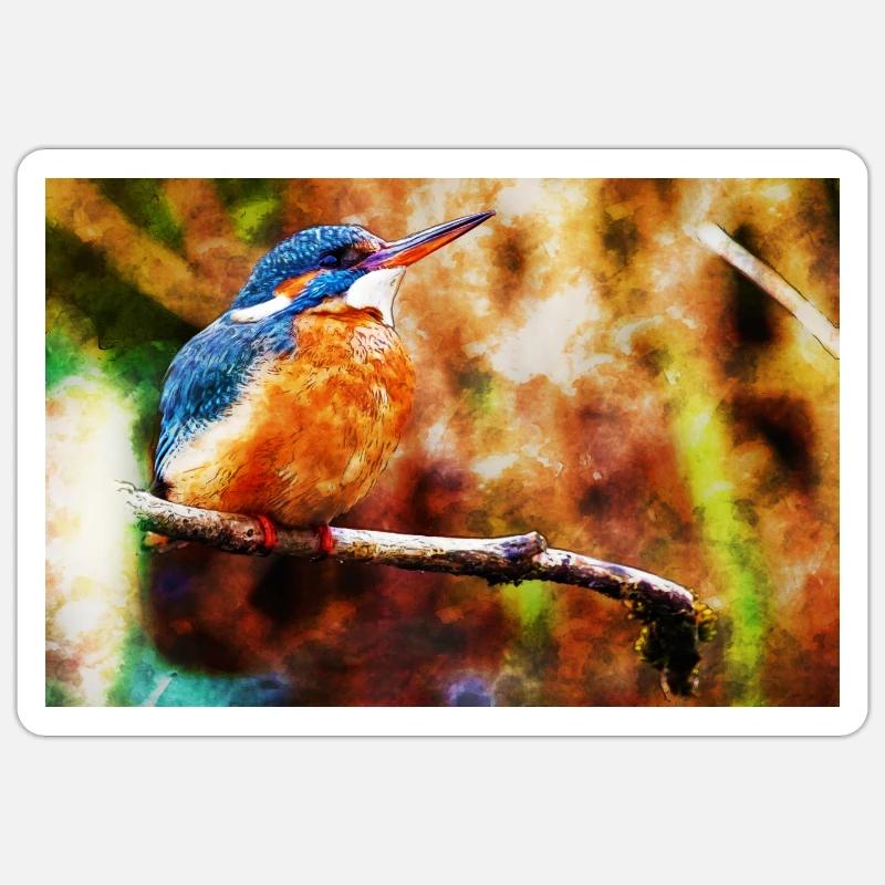 Eisvogel Sticker Größe S (10 x 10 cm)