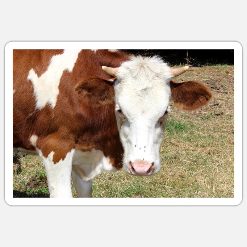 Affiche de vache - Sticker taille S (10 x 10 cm) - blanc mat