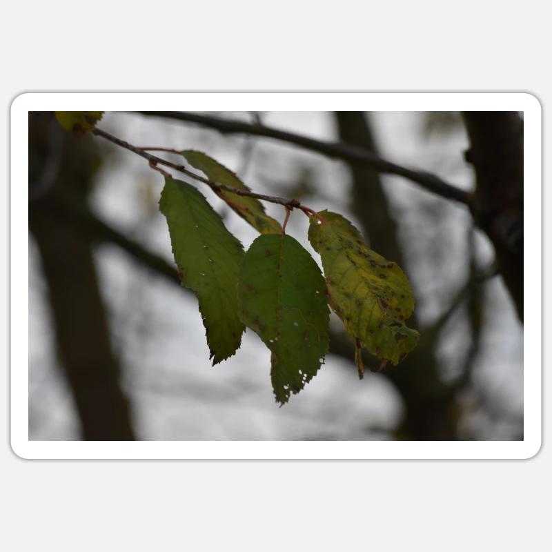 Feuillage Sticker taille S (10 x 10 cm)