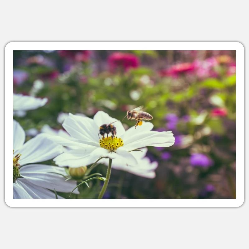 Bee and bumblebee Sticker size S (10 x 10 cm)
