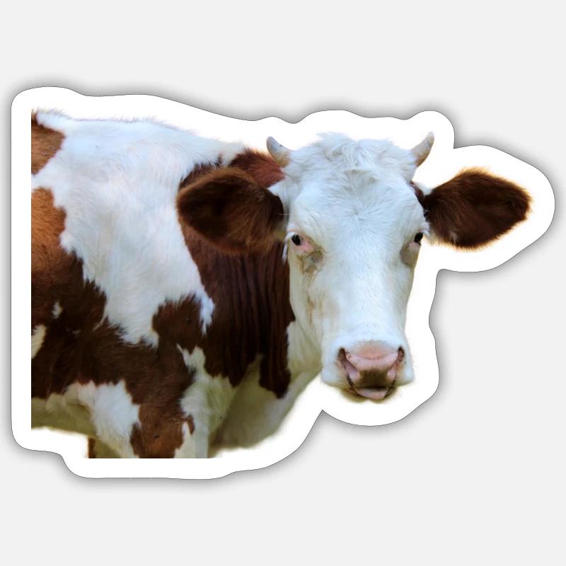 Vache - Sticker taille S (10 x 10 cm) - blanc mat