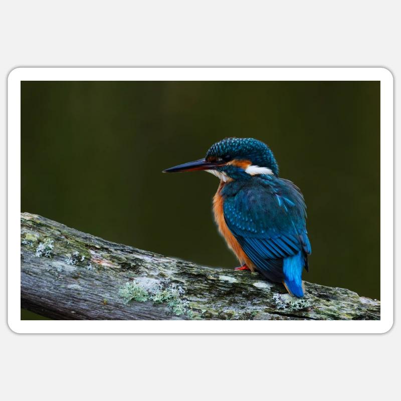 000 1295 Affinity Sticker size S (10 x 10 cm)