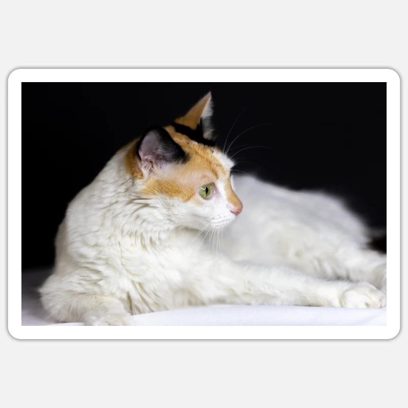 le chat Sticker taille S (10 x 10 cm)