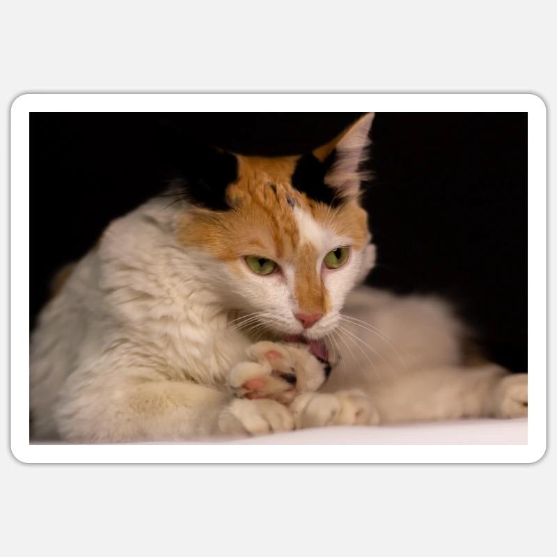 Die Katze - Sticker Größe S (10 x 10 cm) - Mattweiß