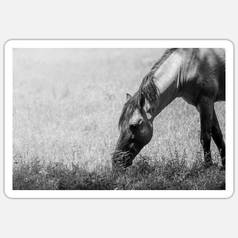 le cheval - Sticker taille S (10 x 10 cm) - blanc mat