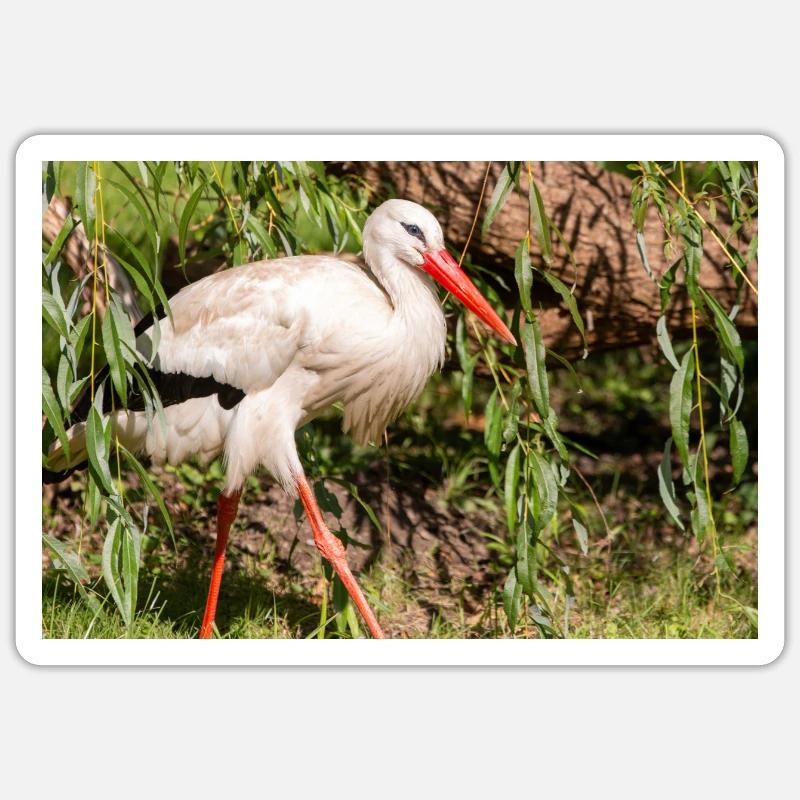 Weißstorch oder Klapperstorch - Sticker Größe S (10 x 10 cm) - Mattweiß